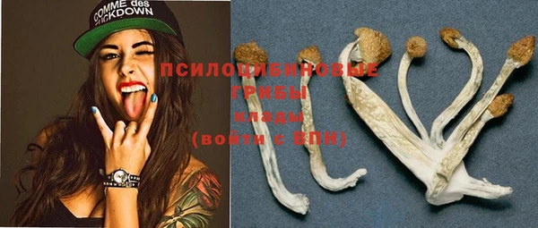 spice Ладушкин